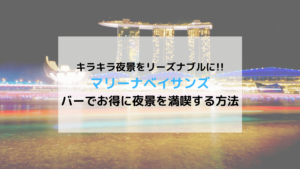 マリーナベイサンズ バーでお得に夜景を満喫する方法