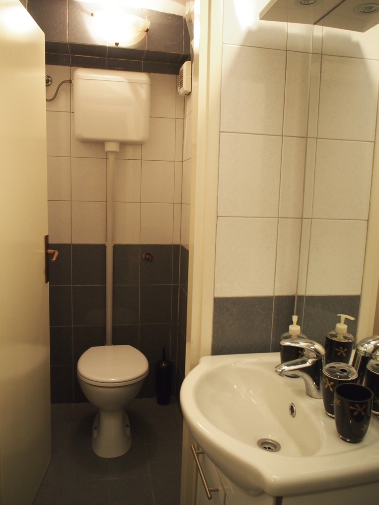 トイレと洗面台の様子