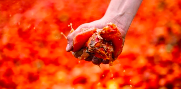 トマトは潰して投げましょうイメージ画像