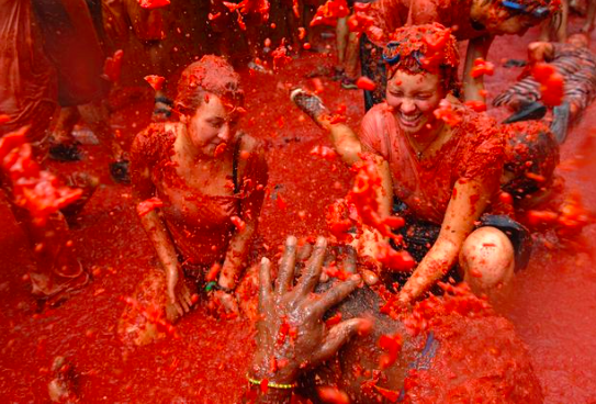 トマティーナトマトでばしゃばしゃ画像