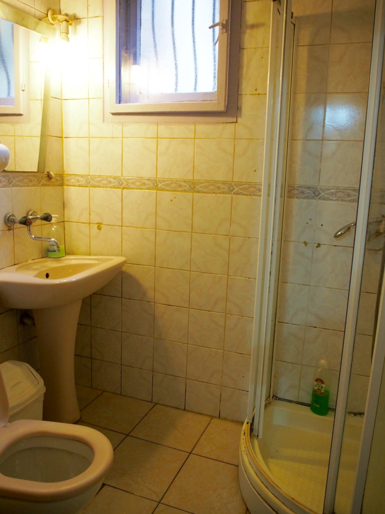 シャワートイレの様子