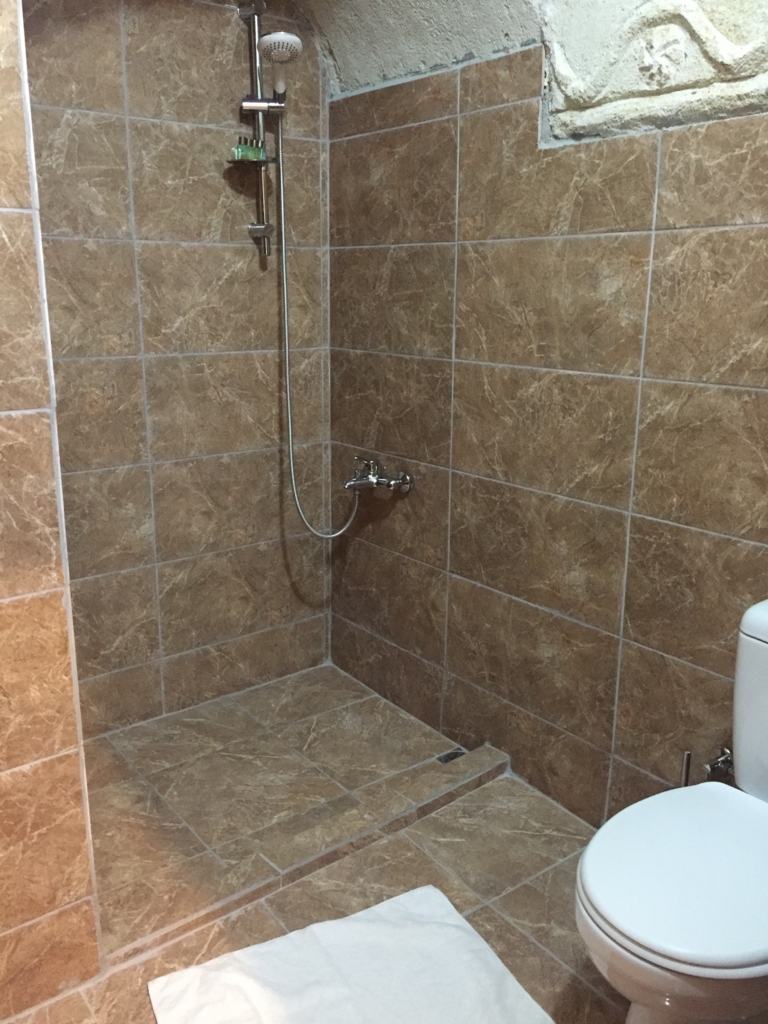 シャワートイレの様子