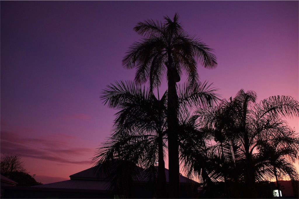 夕焼けも綺麗でした