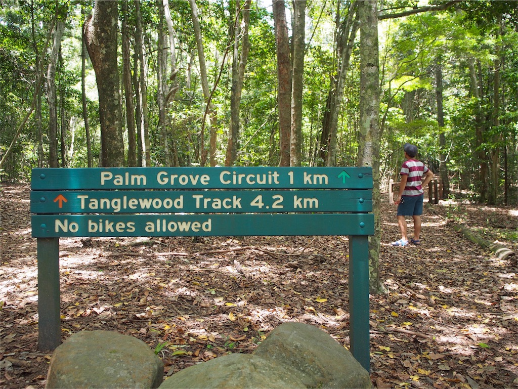 ヌーサ国立公園へ野コアラを探しにお出かけ