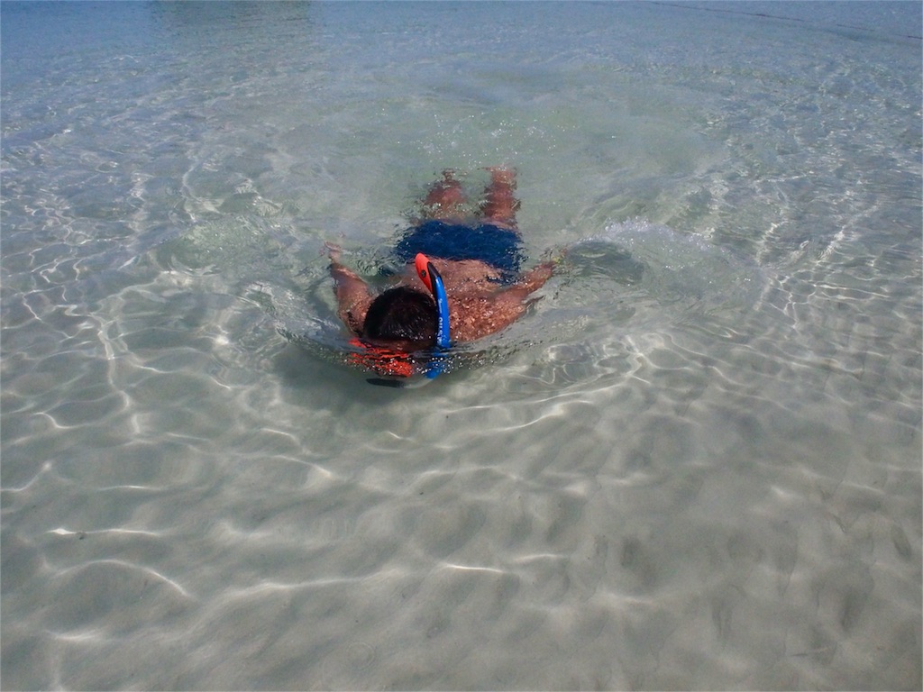 真っ白な砂浜と遠浅の海