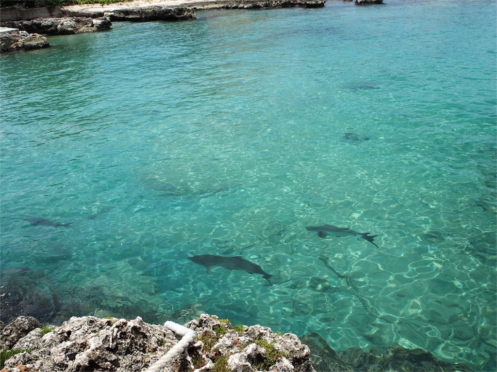 f:id:edatabi:20160617075922j:image