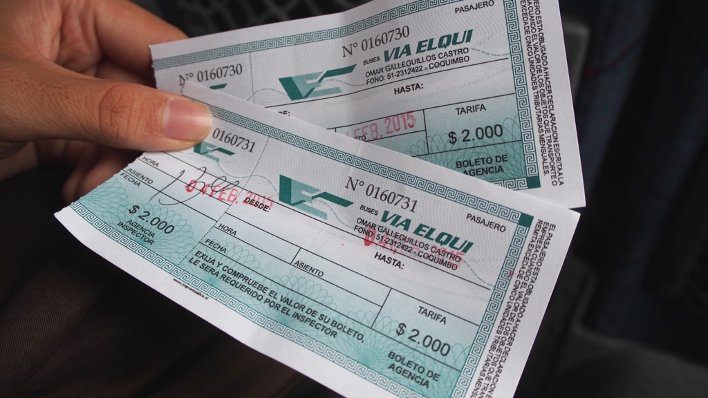 ビクーニャ行きのバスチケット