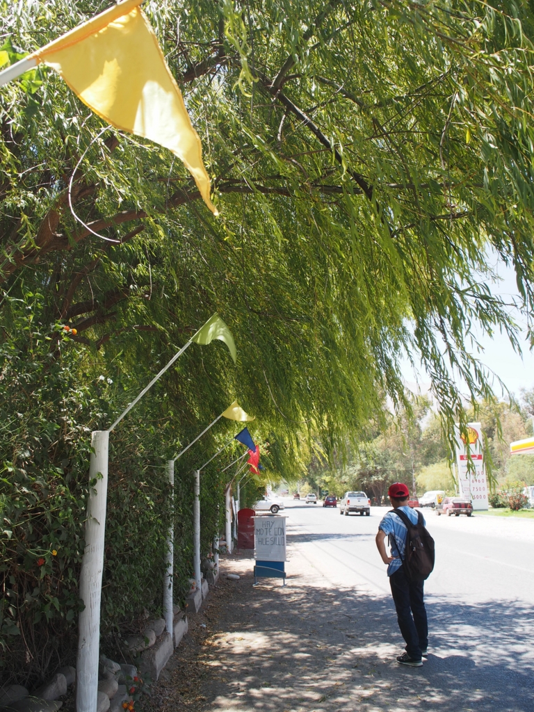 土埃の舞う中30分歩く道