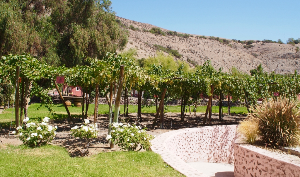 工場見学の様子その②