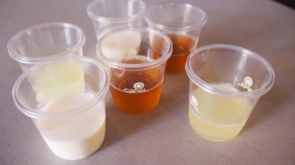 お待ちかねのピスコ試飲タイム♡