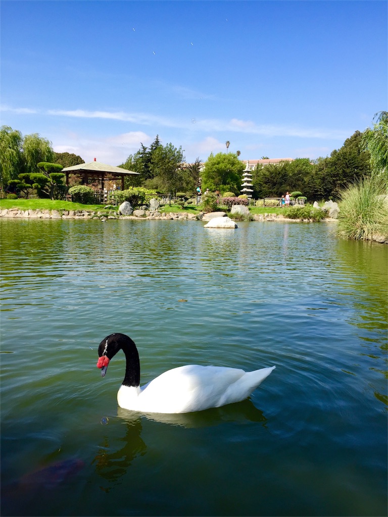 まさにザ日本庭園!