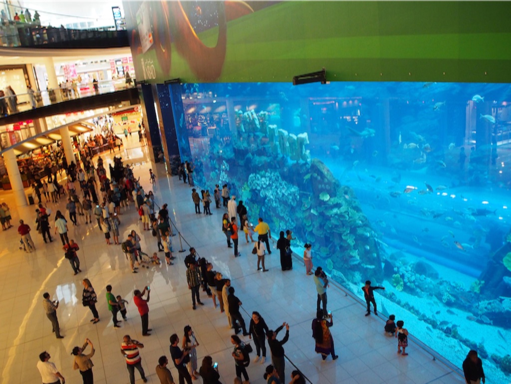 モールの中に突如現れる水槽がインパクト大