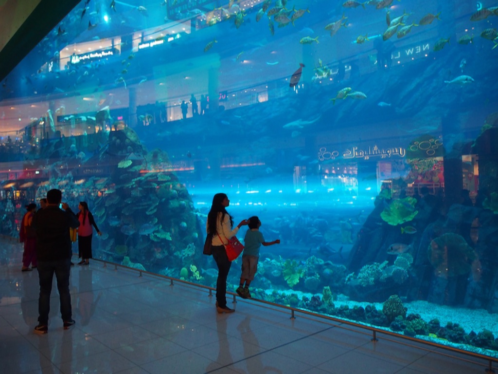 モールの中なのに大きな水槽①