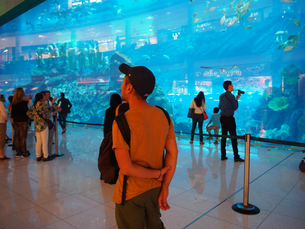 モールの中なのに大きな水槽②