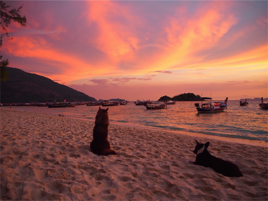 ワンコと一緒にサンライズタイム