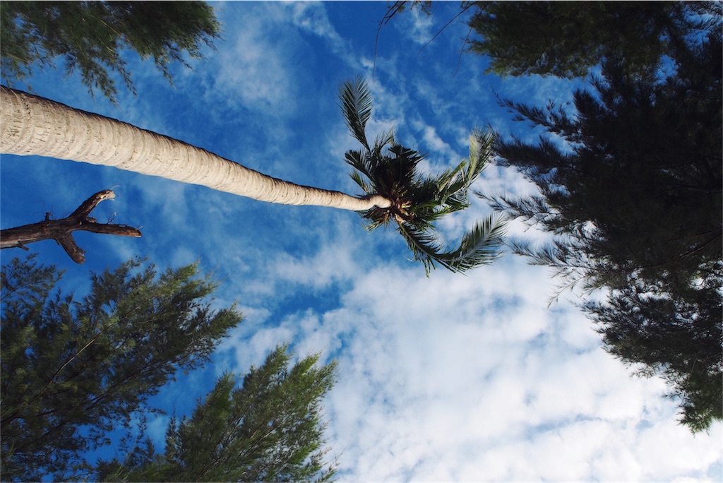 ビーチでのんびりぼんやりタイム