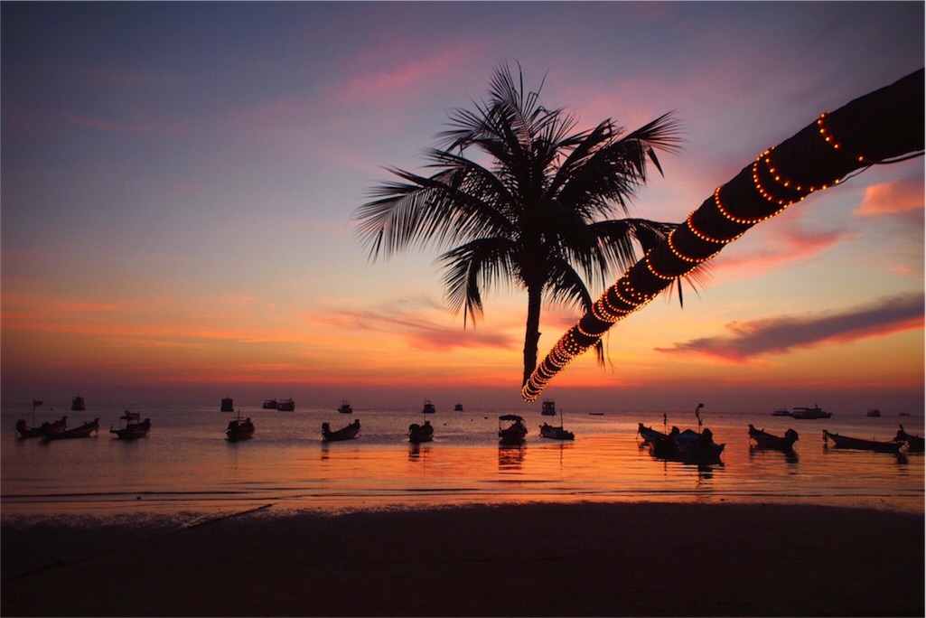 上を向いて伸びるけなげなヤシの木