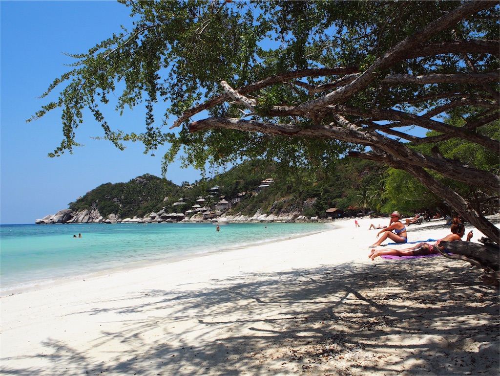 シャークベイビーチの様子