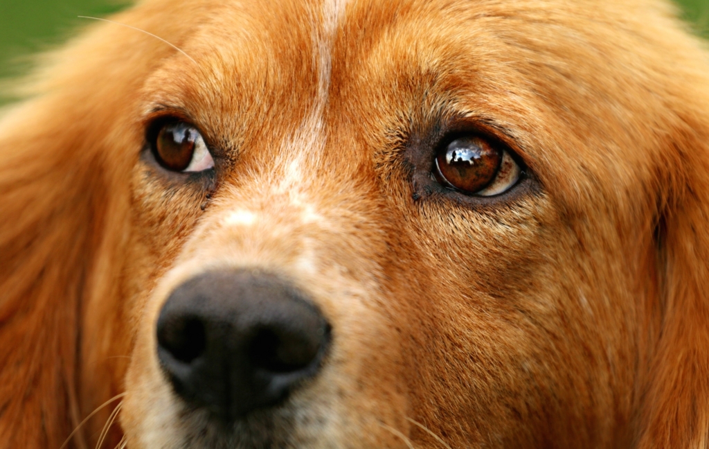 がっかり...イメージ画像