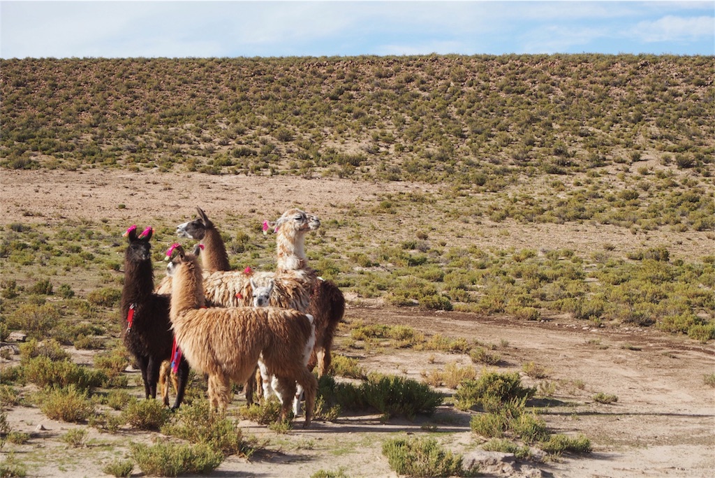 道の途中で出会ったかわいこちゃん