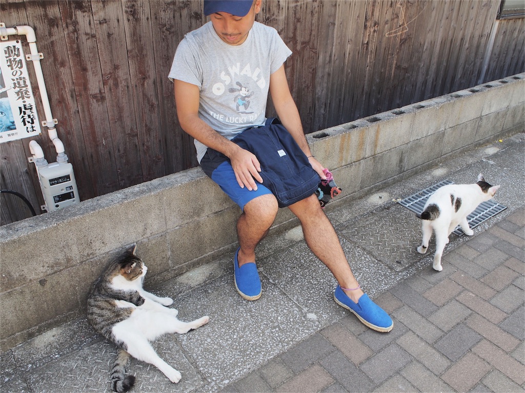 【福岡】北九州 さくらねこに会える猫島「藍島」へ行ってみた