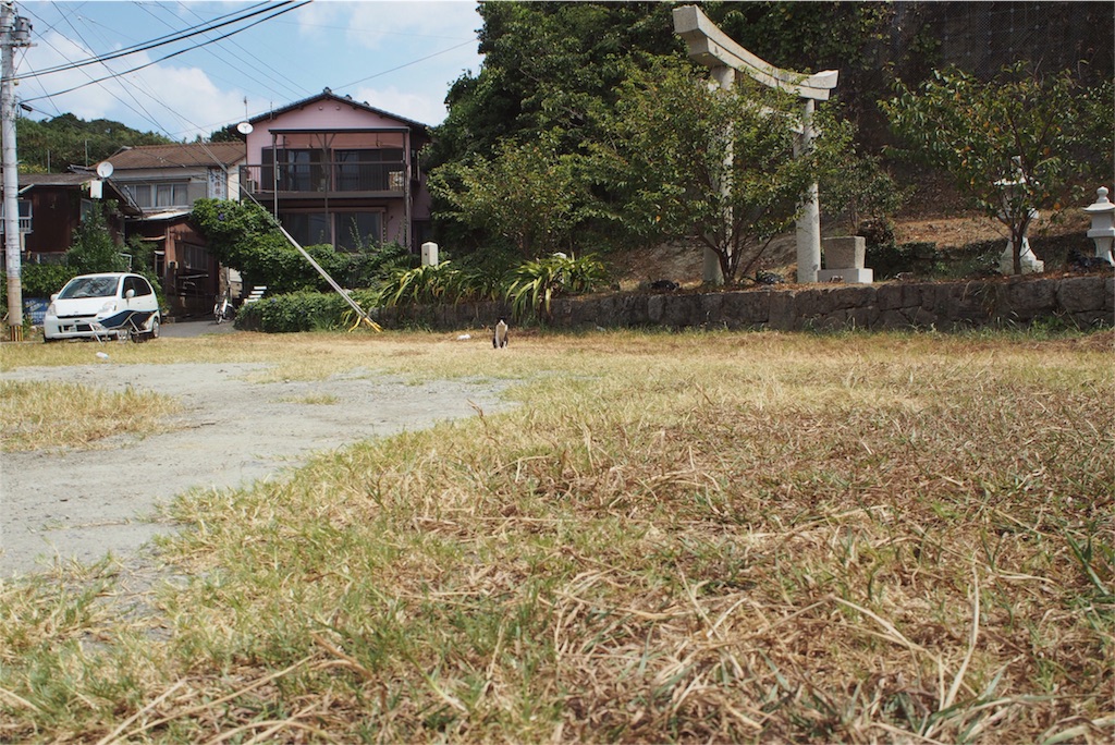 ジリジリ感じる視線の先には...かわいこちゃん♡