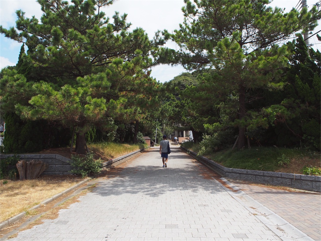 少し歩いて島猫スポットへ