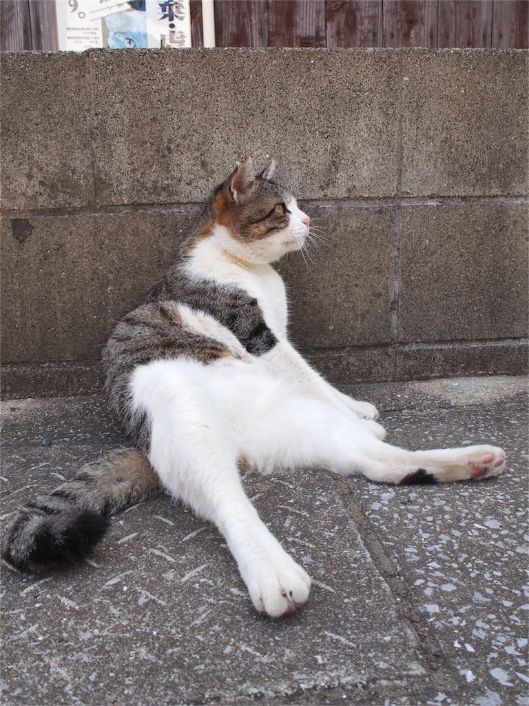 管理職のおじさん並みの貫禄が漂う...