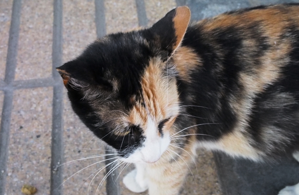 f:id:edatabi:20161002110556j:plain