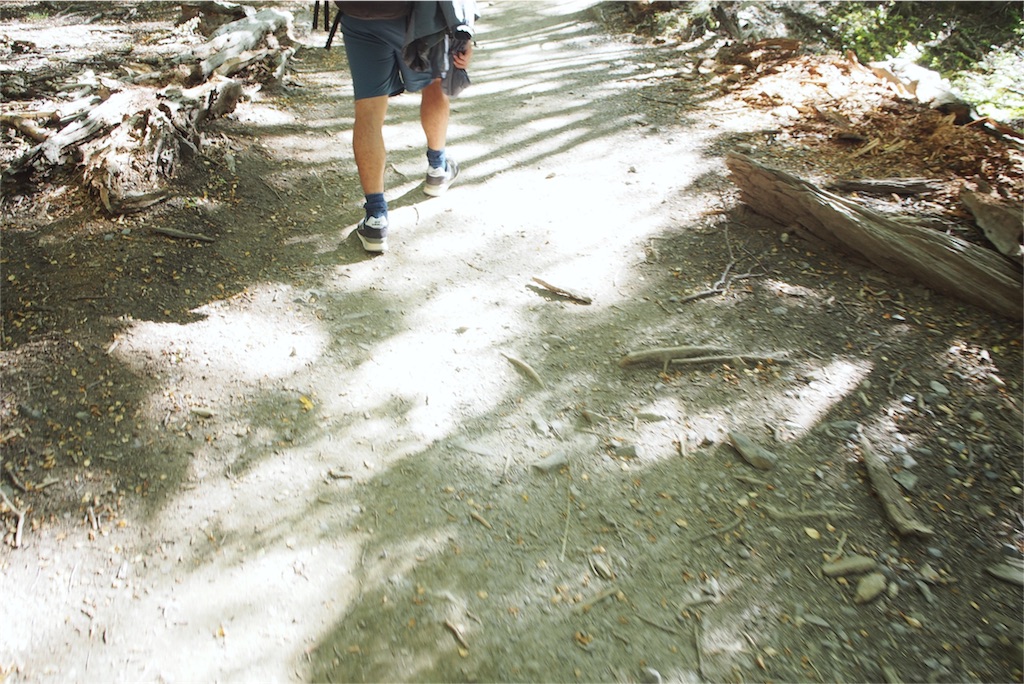 1歩1歩楽しみながら進みます
