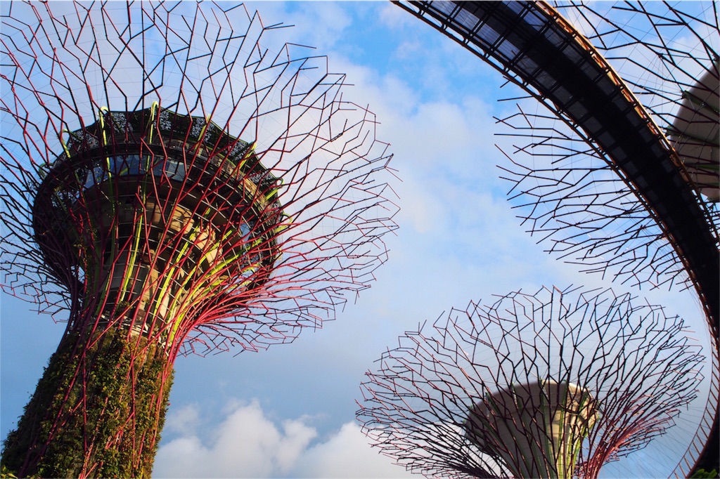 夕暮れ時のガーデンズバイザベイ