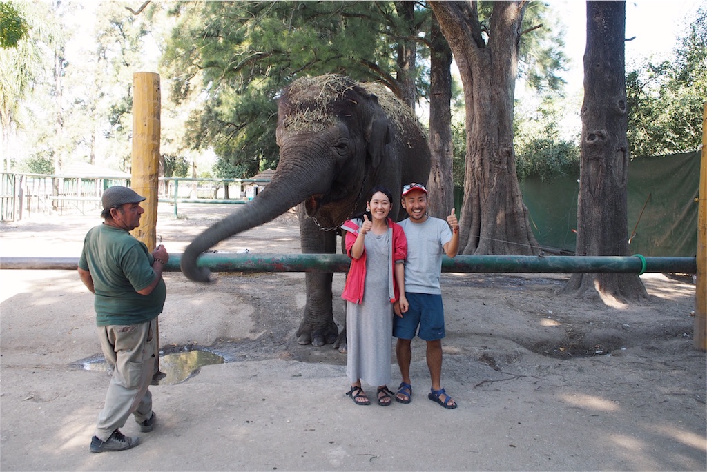 象にエサやり体験もできました