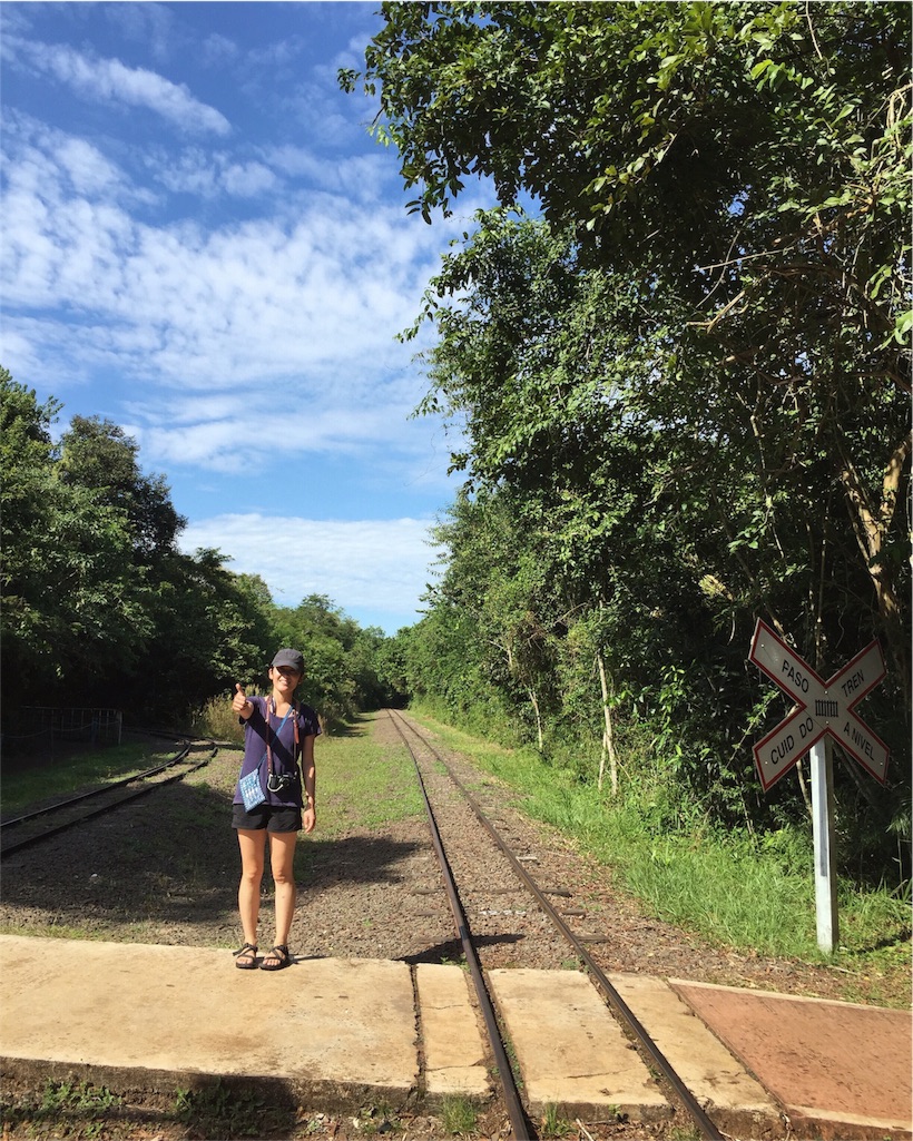 園内は広ーい!木々もたくさんでジャングルみたい