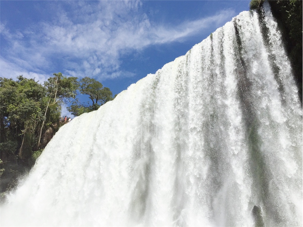 至近距離で見ることができ 地響きを感じます
