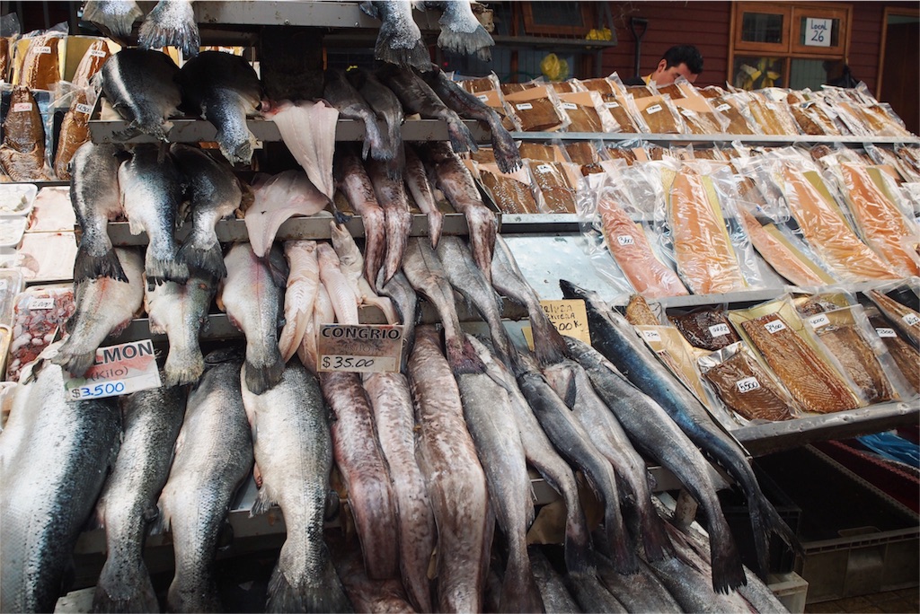 魚市場には魚がずらり!!