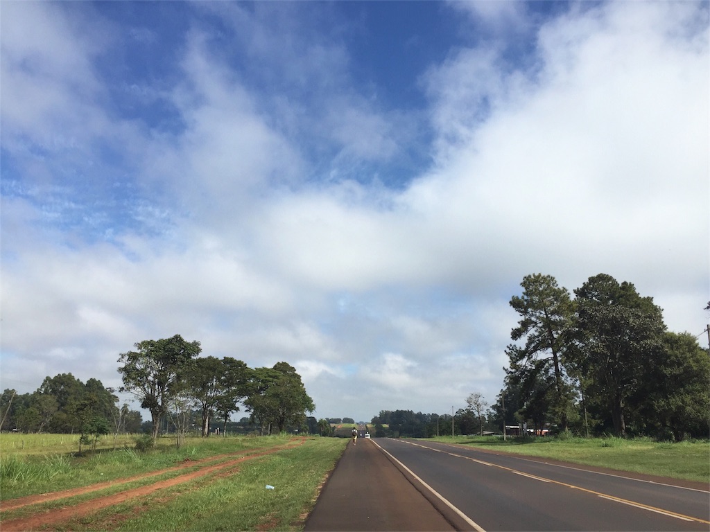 食べてばかりなので お買い物帰りにウォーキング