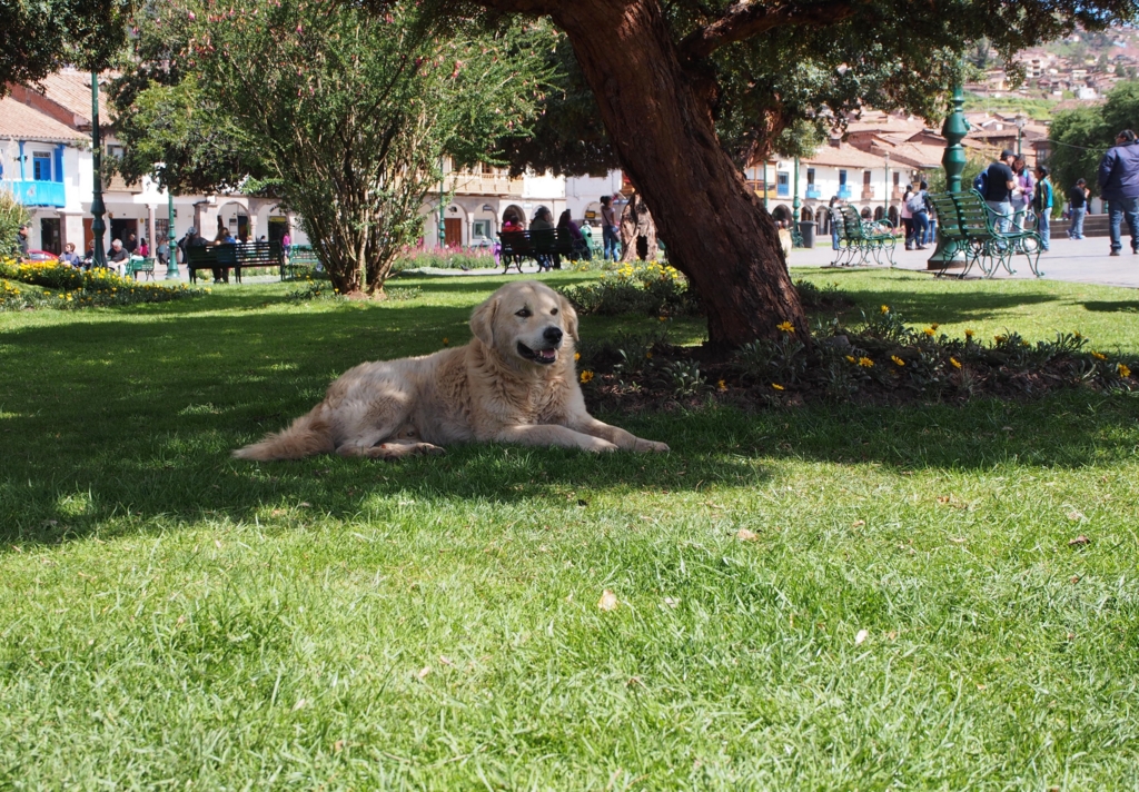 f:id:edatabi:20161105115027j:plain f:id:edatabi:20161105115027j:plain