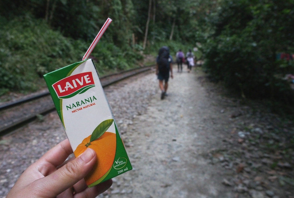 f:id:edatabi:20161117135005j:plain