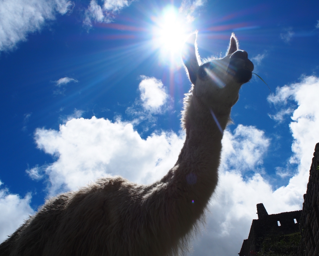 f:id:edatabi:20161117141426j:plain