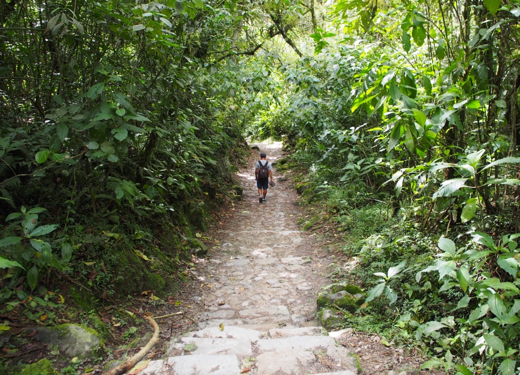 f:id:edatabi:20161117141830j:plain