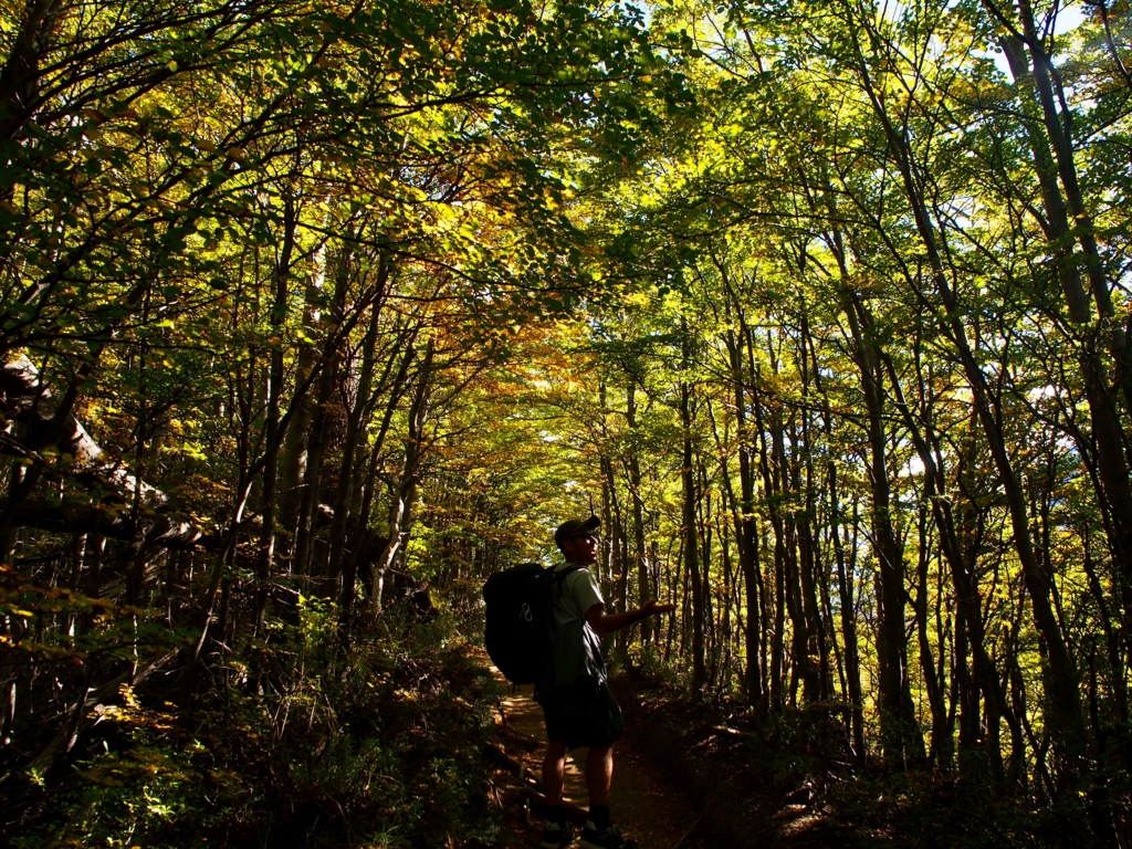 3月中旬のパイネ国立公園は紅葉してます