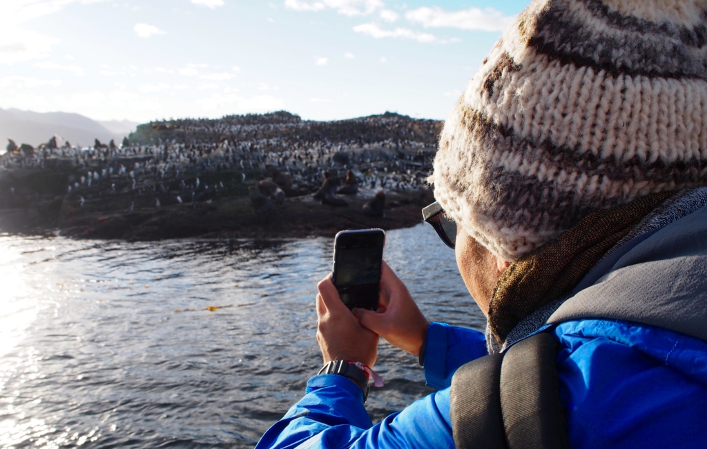 ペンギンだと思って激写中(笑)