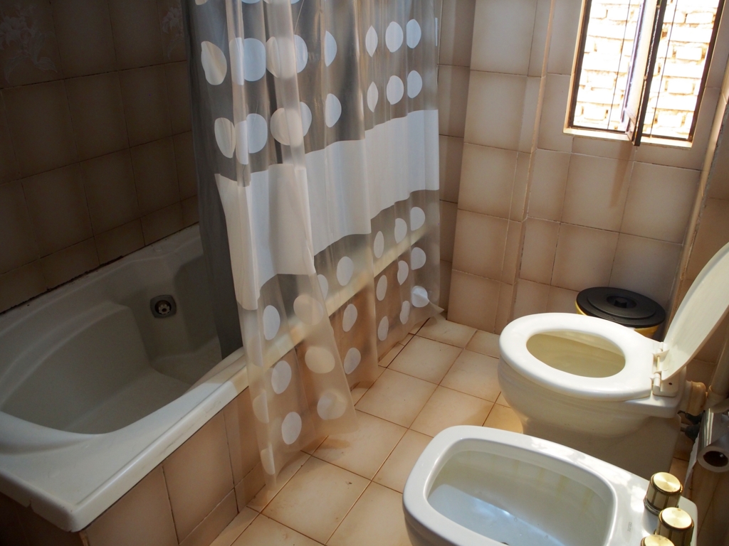 シャワーとトイレの様子