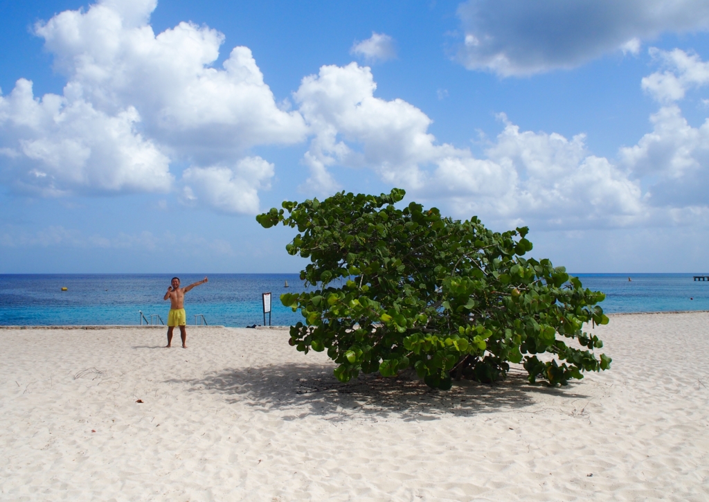 f:id:edatabi:20170102095038j:plain