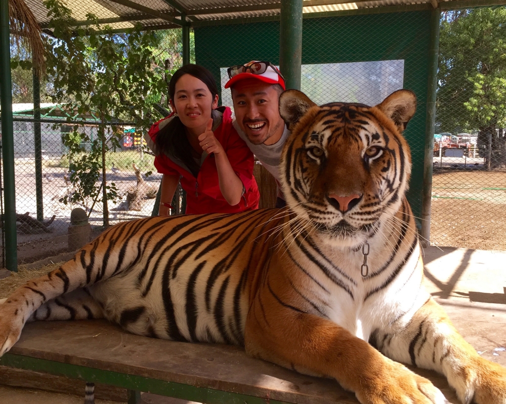 世界で一番危険な動物園でトラとスリーショット