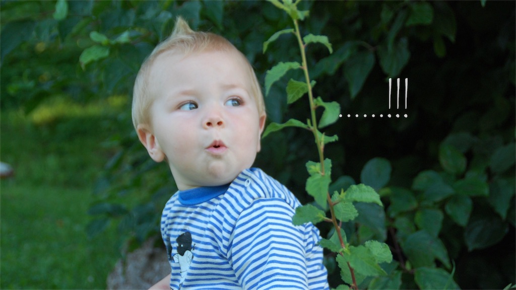 ポイントサイトの紹介ブログ