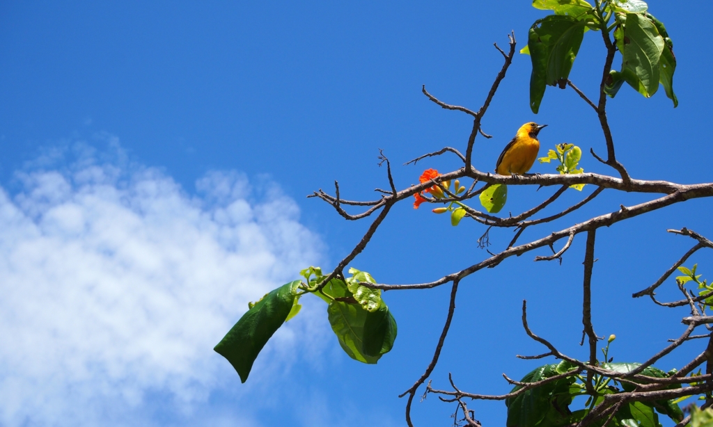 f:id:edatabi:20170414154917j:plain