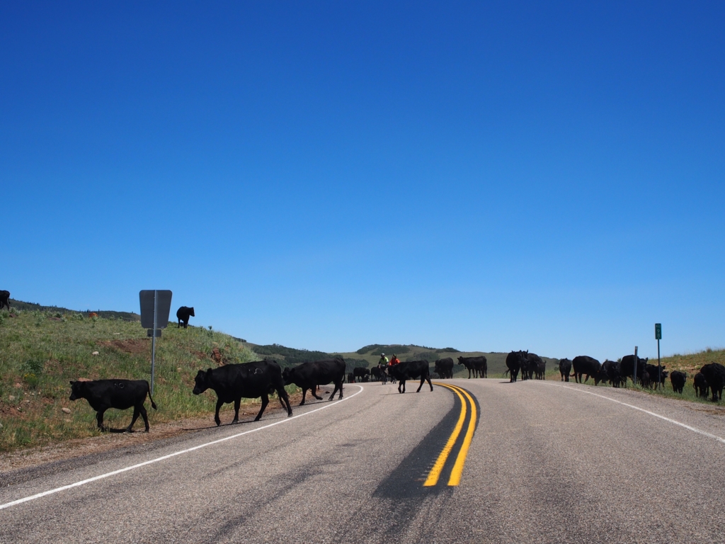 f:id:edatabi:20170508111611j:plain f:id:edatabi:20170508111611j:plain