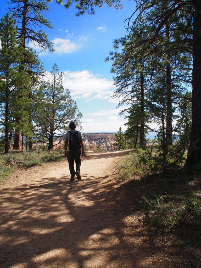 f:id:edatabi:20170514203135j:plain f:id:edatabi:20170514203135j:plain