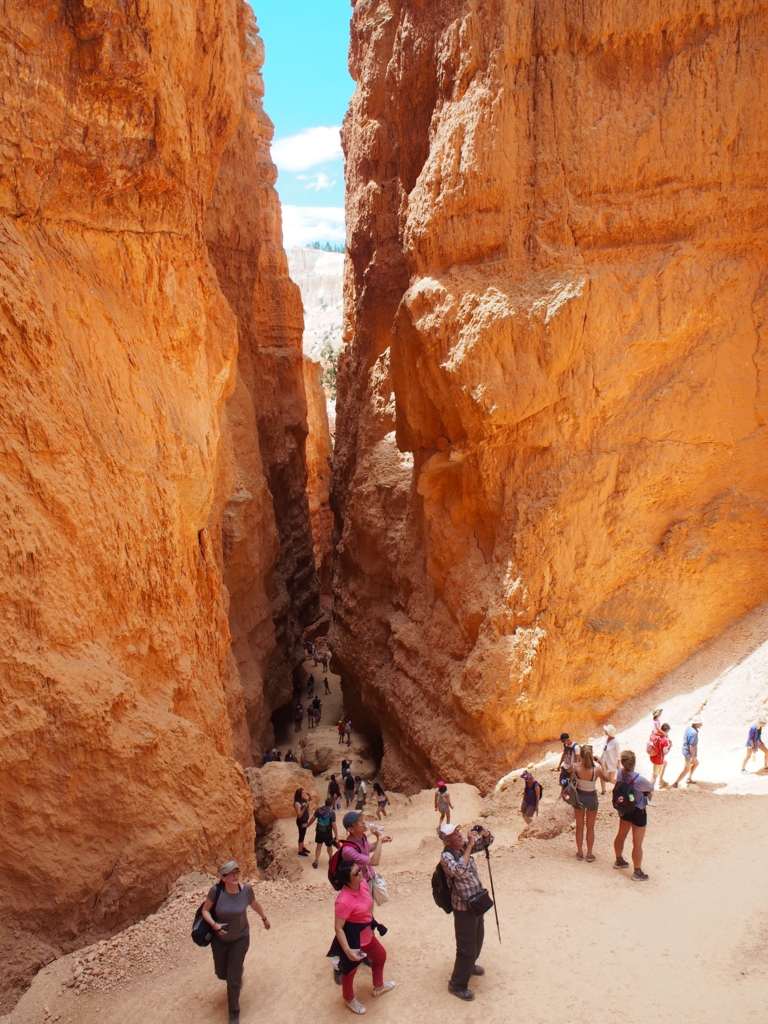 f:id:edatabi:20170514213618j:plain f:id:edatabi:20170514213618j:plain